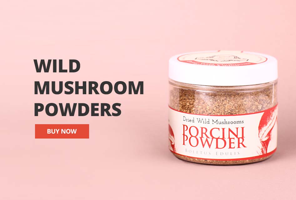 Wild Mushrooms Powder UK 
