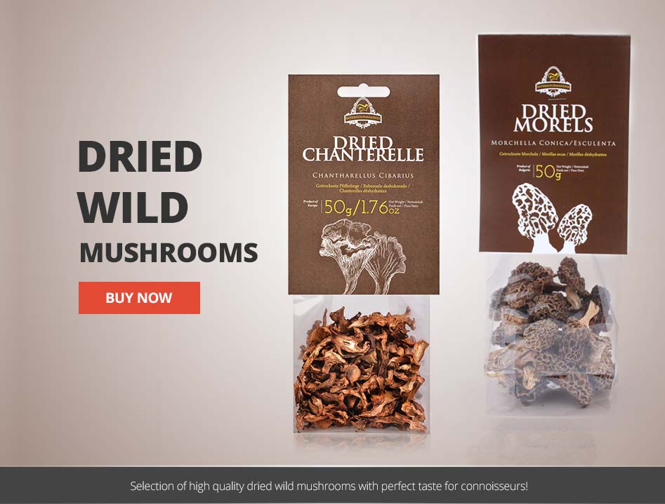 Dried Wild Mushrooms in UK