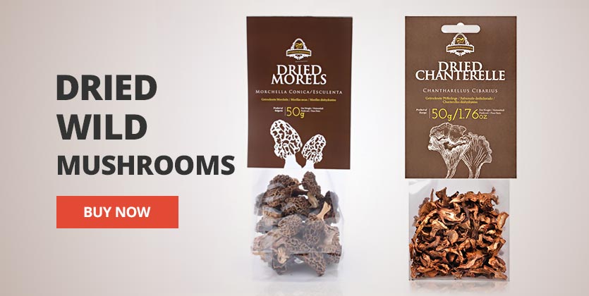 Dried Wild Mushrooms in UK