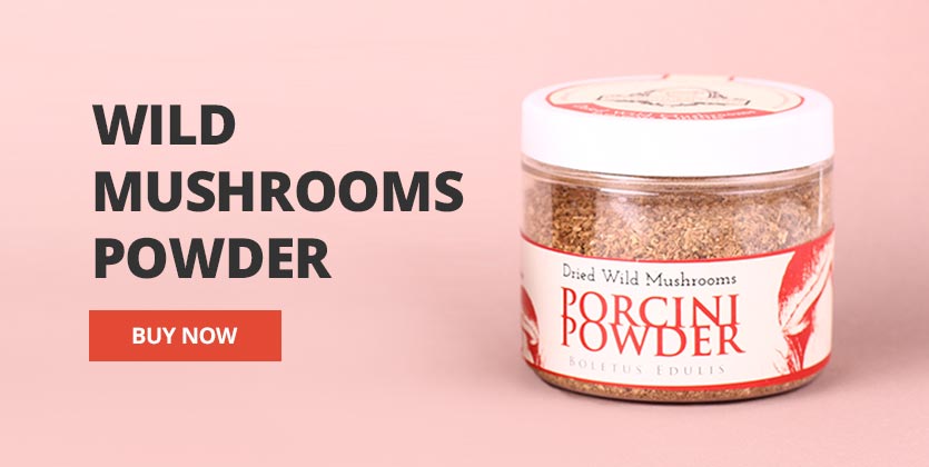 Wild Mushrooms Powder UK 